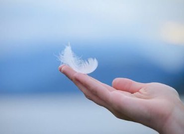 arvindcans, arvind cans, www.arvindcans.com, arvind cans limited, arvind-cans, arvind-cans-limited